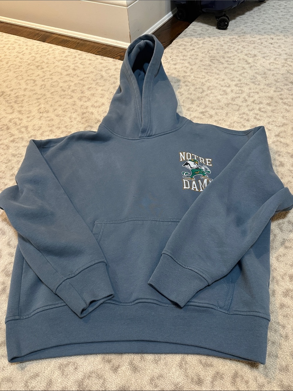 Hollister sweatshirt- unisex